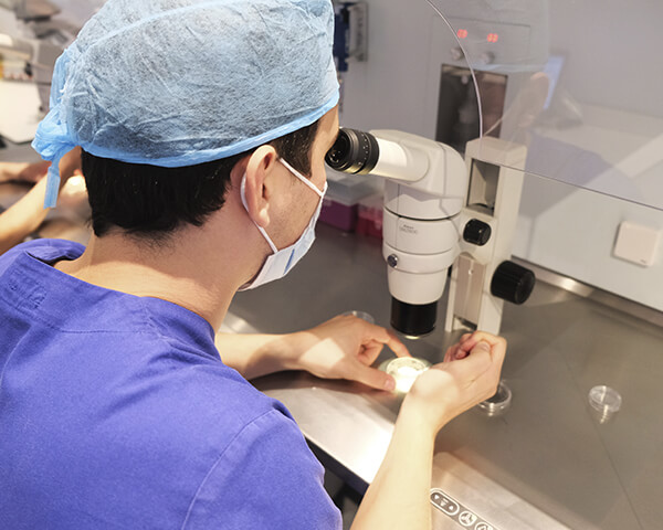 Laboratorio