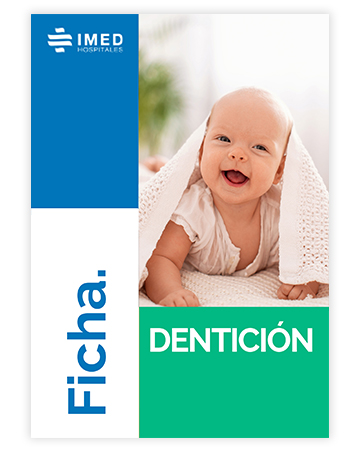 Dentición