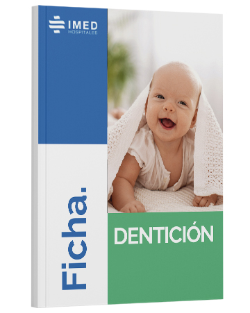 Dentición