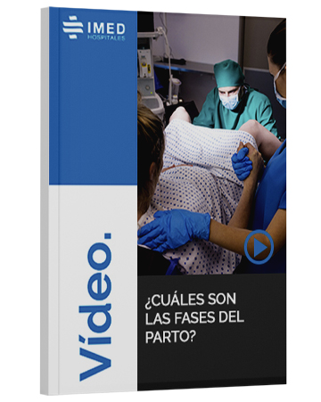 ¿Cuáles son las fases del parto? 