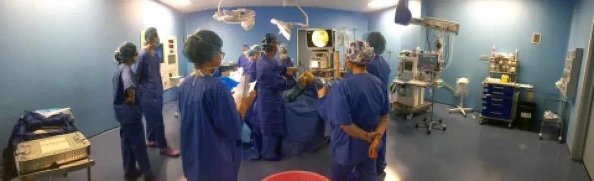 EL DR. SÁNCHEZ ALEPUZ DIRIGE LA UNIDAD DEL APARATO LOCOMOTOR DE IMED VALENCIA