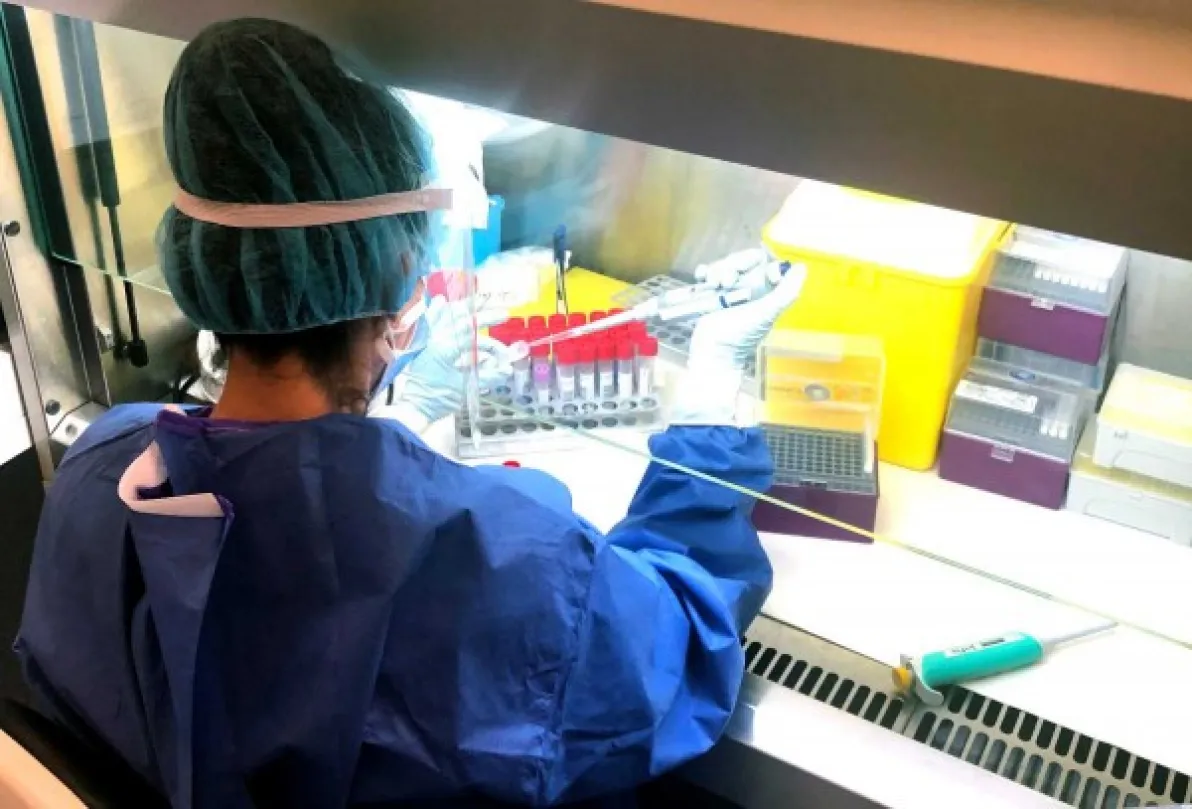 IMED Hospitales incorpora la prueba de antígenos que permite diagnosticar la COVID-19 en 15 minutos