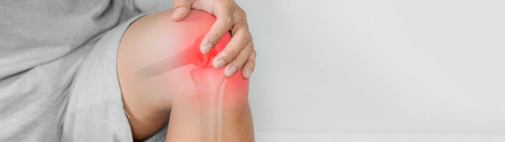 Musculoskeletal Unit