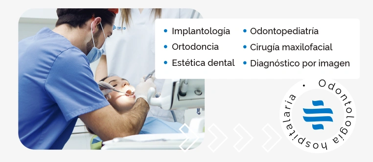 dental.webp