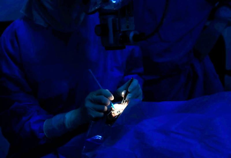 desarrollo-vision-artificial-3.jpg Desarrollo visión artificial