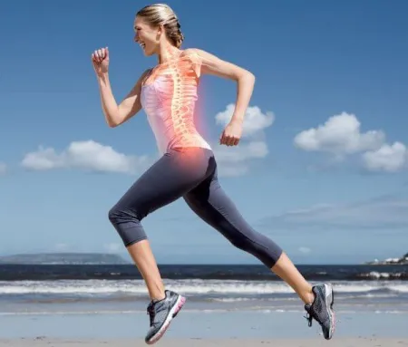 thumb-aparato-locomotor.jpg