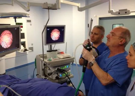 IMED starts with the application of a new technique for endoscopic treatment of obesity